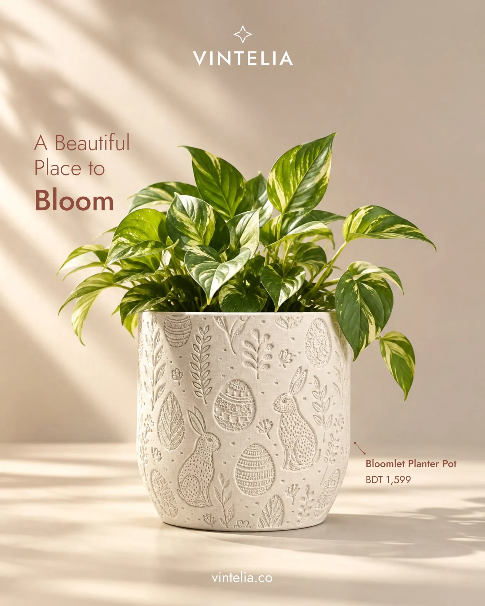 Bloomlet Planter Pot image 4
